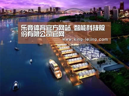 案例展示八